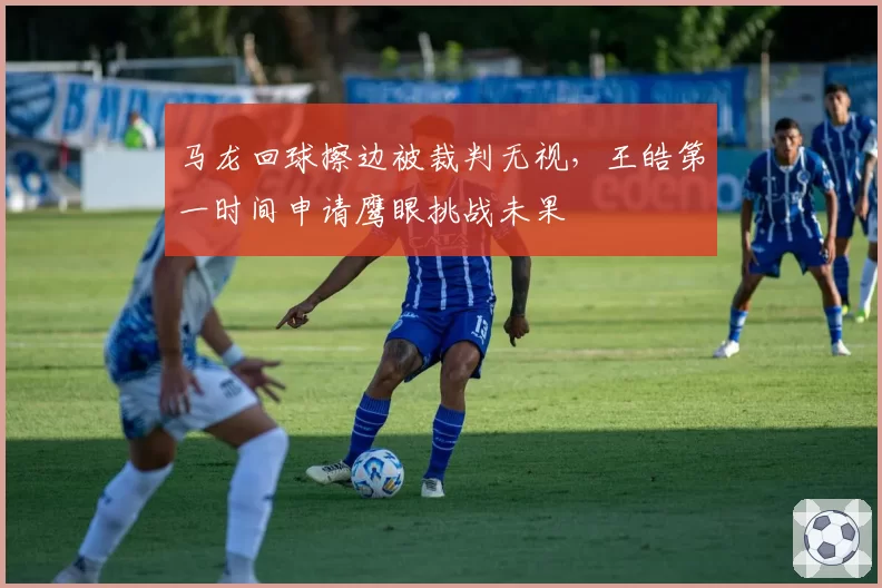 马龙回球擦边被裁判无视,王皓第一时间申请鹰眼挑战未果